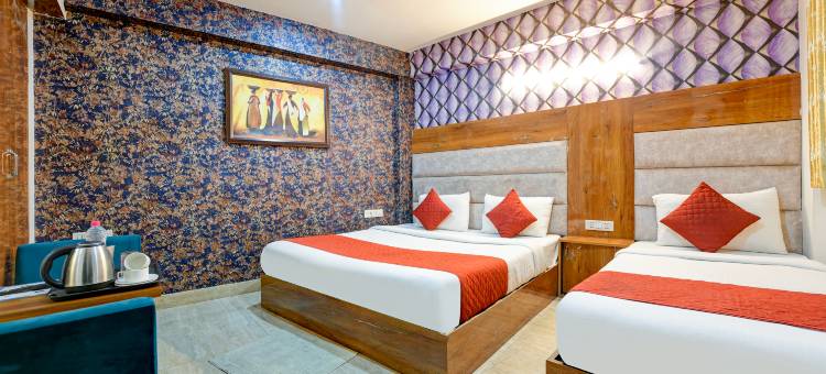 Airport Hotel Classic Park图片