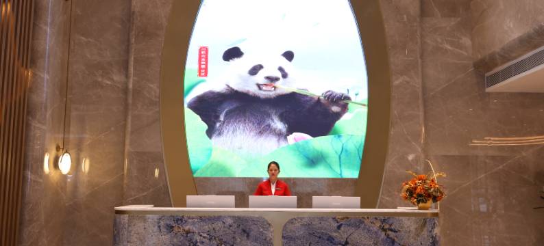 川航金熊猫大酒店(北京新国展首都机场店)图片