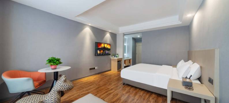 宁乡金樽臻品酒店(宁乡步行街店)图片