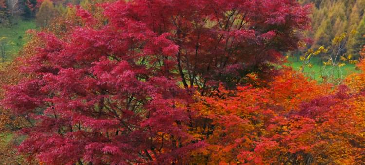 兰亭居宾馆图片