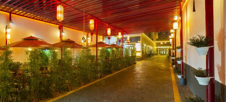 静一精品文化酒店(乌鲁木齐自治区中医院和田二街店)图片