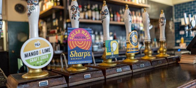 帕普乐埃克斯茅斯阿穆斯旅馆尤斯顿(PubLove @ the Exmouth Arms, Euston)图片