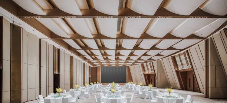 重庆科学会堂假日酒店图片