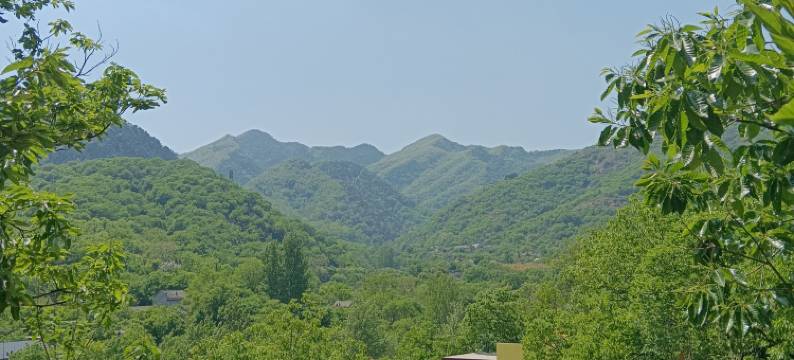 仙泉山庄民宿图片