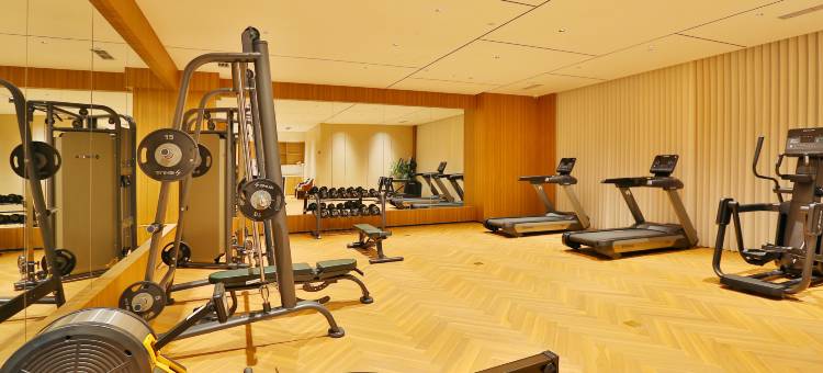 富平绿地铂骊酒店图片