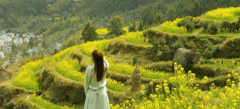 在荷间·婺源墅家百年故里西冲院图片