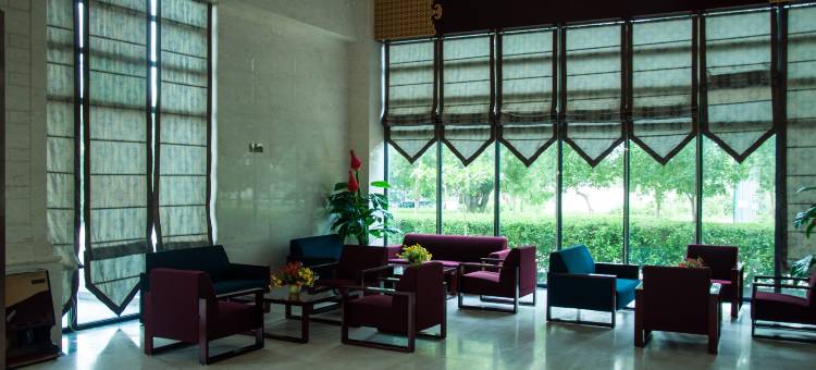 阳光恩贾梅纳大酒店(Soluxe Hotel)图片