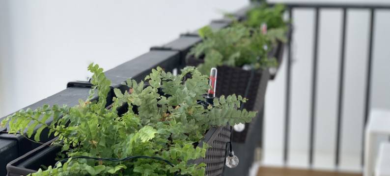 屏东阳光小栈图片