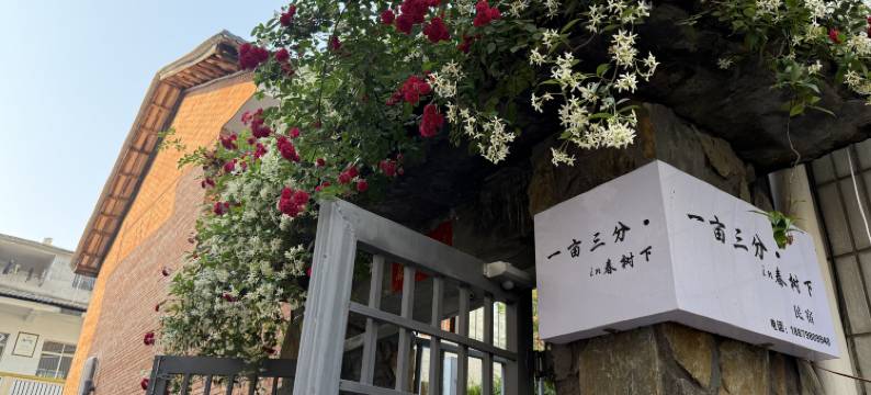 一亩三分in春树下民宿(陶溪川文创街区店)图片