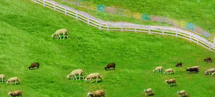 艺竺居·云涧泳池·环林观景·团建轰趴度假民宿图片