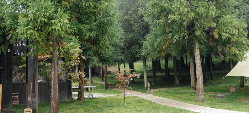 仙女山华邦酒店图片