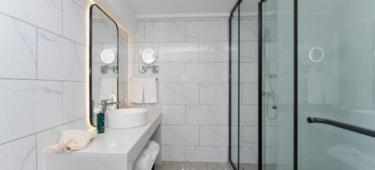 白玉兰商务酒店(安阳文字博物馆店)图片