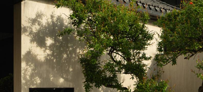 Magnolia Maison·二山来温泉度假酒店(海螺沟冰川森林公园店)图片