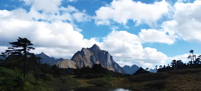 德钦迪青康珠民宿图片