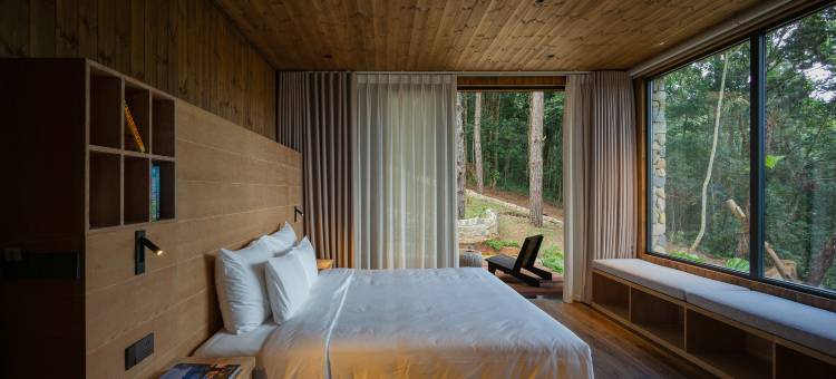 Mơ住宿-森林度假村(Mo Stay - Forest Resort)图片