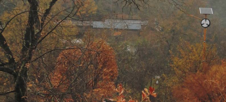 兰坪墅家吾乡罗古箐徒步民宿图片