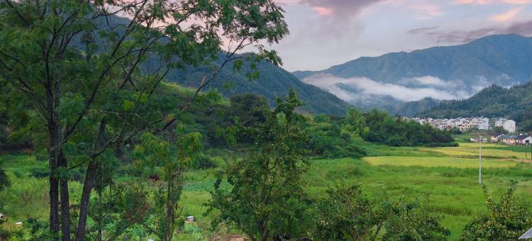 婺源篁岭·银杏谷民宿图片