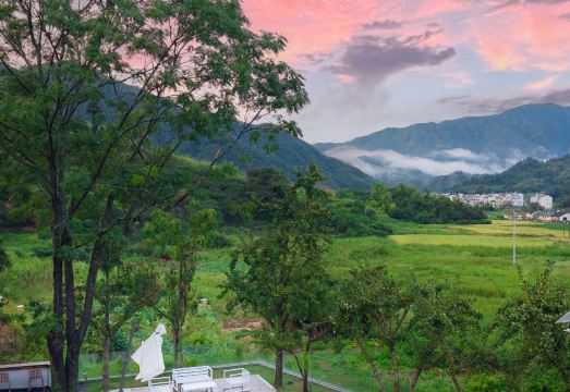 Wuyuan Yunjing Fenghuang Ginkgo Valley B&B Huangling District Branch Hotel Overview