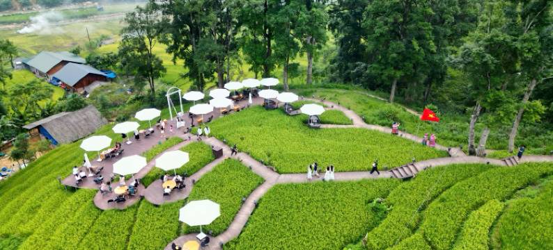 MT山脚下的房子(MT House Sa Pa - Mountain & Terraced fields View And Trekking Tour)图片