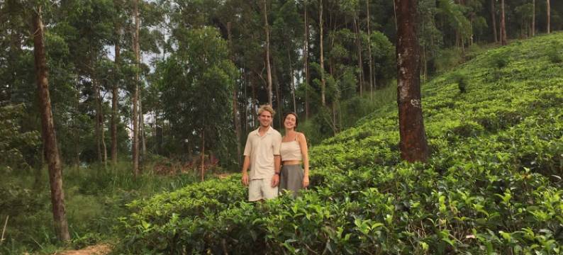 茶屋水疗度假村(Tea Cottage Resort & Spa)图片