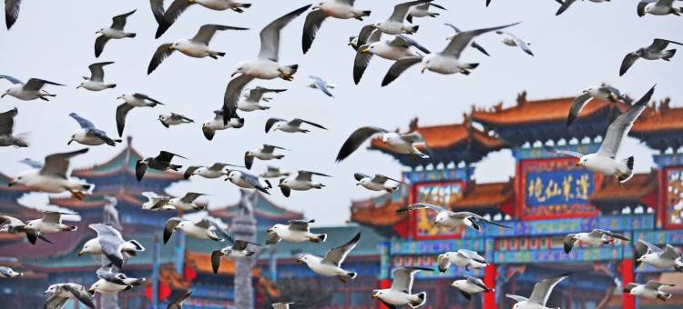 都市花园酒店(蓬莱汽车站登州路市场店)图片