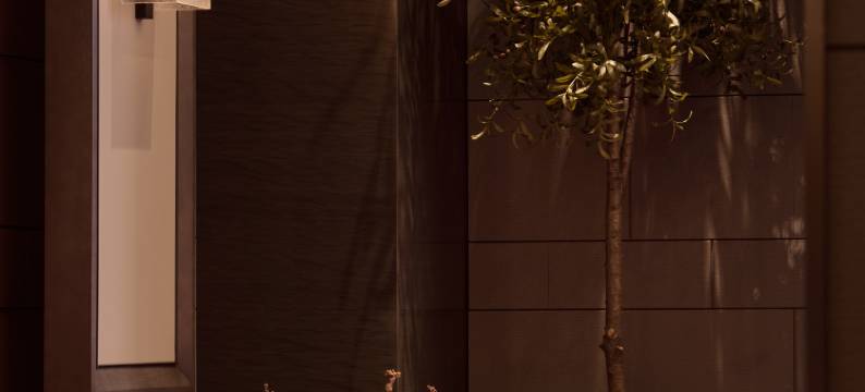 SERENDIPIA  豪泽希芮迪酒店(沈阳北站青年大街地铁站店)图片