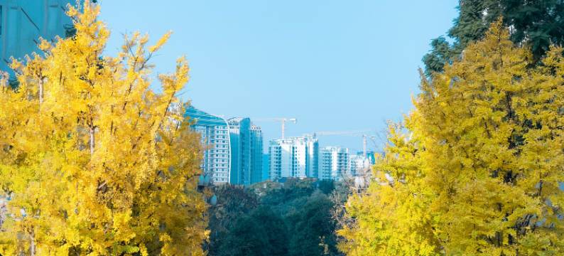 宜宾拾舍·竹里馆(宜宾西站店)图片