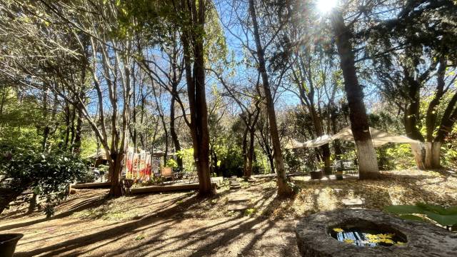 时间里丨临溪森氧雪山观景Holiday Hotel(丽江古城大水车店)图片