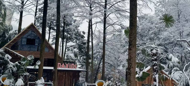 安吉溪山林语国风温泉·溯溪·度假美宿图片