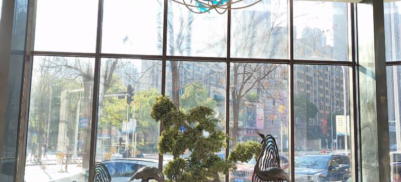 瑞景凯瑞精选酒店(武汉武商梦时代武汉大学店)图片