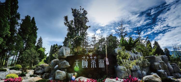 天颐茶源茶庄(云南白药店)图片