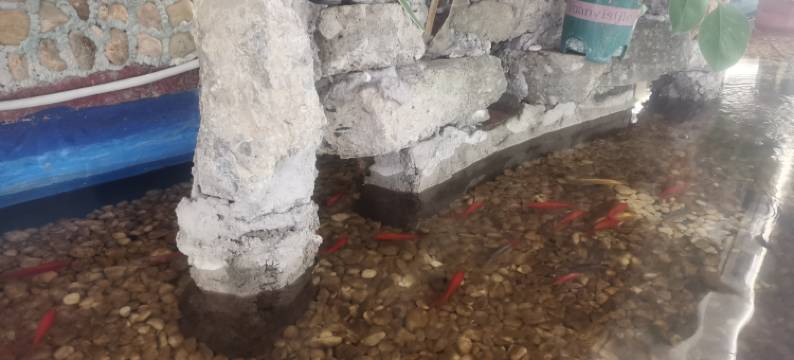 如家·云上四季尚品酒店(瑞丽财富广场旅游步行街店)图片