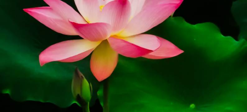 桥头三正半山酒店图片