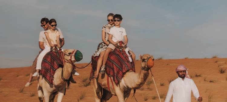 Aldhafra Resort Vignette Collection图片