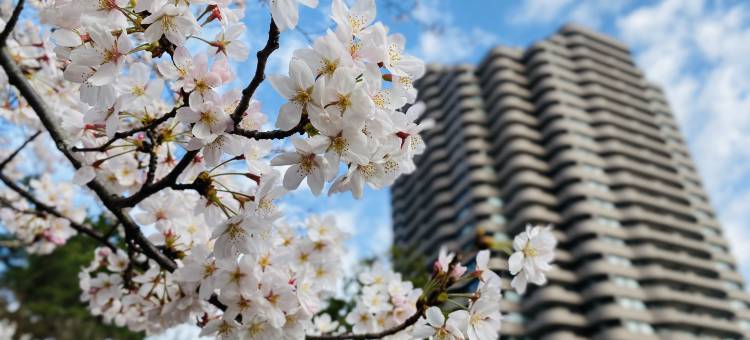 东京万豪酒店(Tokyo Marriott Hotel)图片
