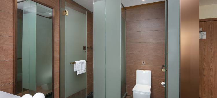 世佳豪庭酒店(湖南软件大学店)图片