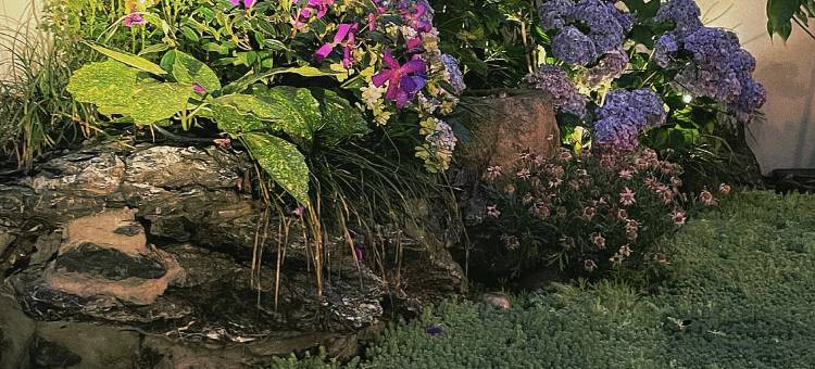 浮生居(扬州东关街皮市街店)图片