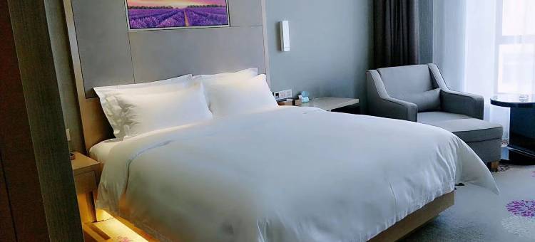 麗枫酒店(东莞虎门万达广场店)图片