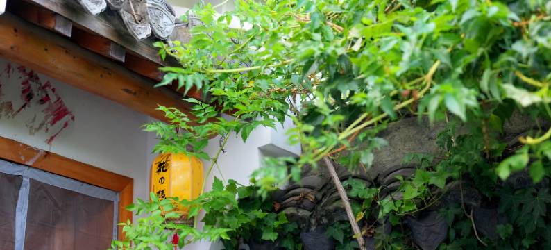 花隐.民宿图片