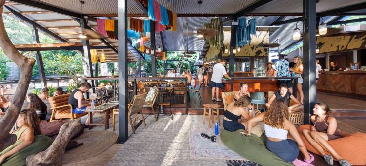 罗默磁岛考拉公园(Bounce Magnetic Island and Koala Park)图片