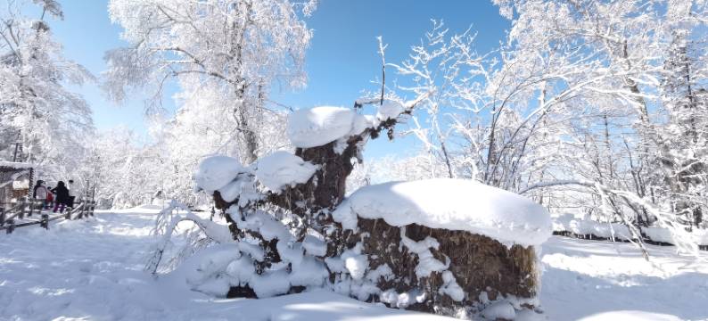 雪乡东北缘客栈(二浪河景区店)图片
