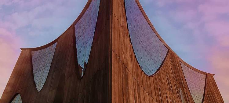 面纱酒店(The Veil)图片