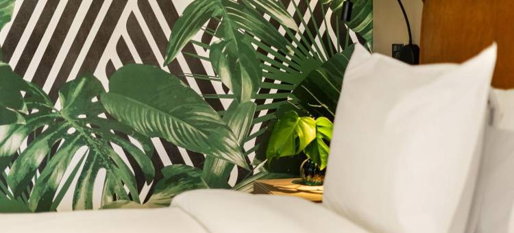 SP 伊泰姆比比美爵酒店(Grand Mercure SP Itaim Bibi)图片