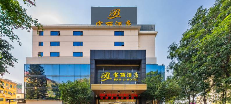 深圳宝丽酒店(龙岗塘坑地铁站店)图片