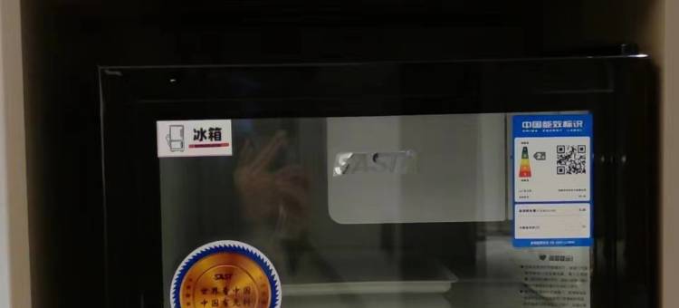 瑞贝庭Suisse Place国际大酒店(芜湖中山路步行街芜湖站店)图片