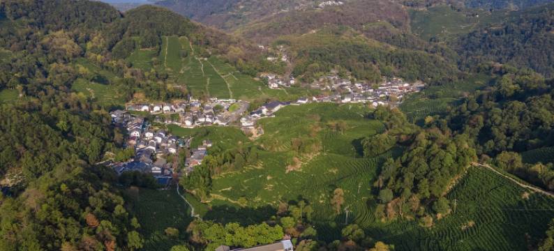 杭州龙井茂居酒店图片
