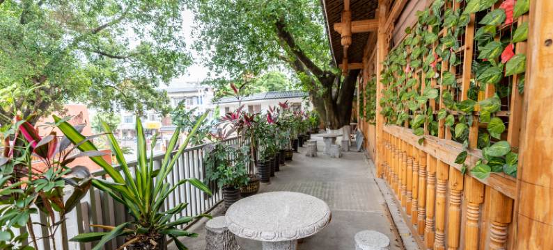 巴马盘阳故里酒店图片