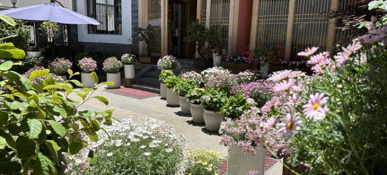 山茶半岛美宿(丽江束河古镇店)图片