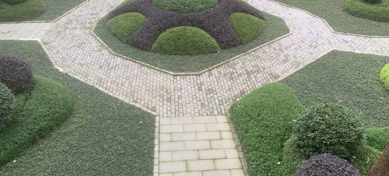 大邑道源圣城温泉国际大酒店图片