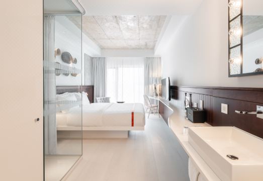 Ruby Molly Hotel Dublin Hotel Overview